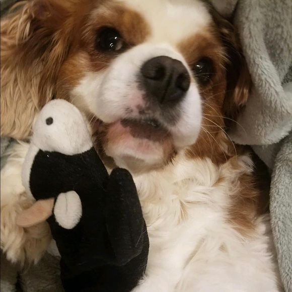 (0-24W; XS-4X) 25% Off ALL Bundles - Picture 8 of 13